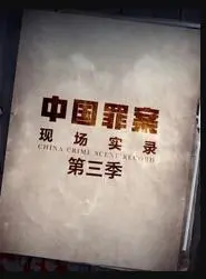 《罪案现场实录第三季》：深入犯罪现场，剖析真实案件