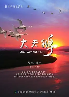 《大天鹅》：守护与飞翔，一段关于爱与自由的童话