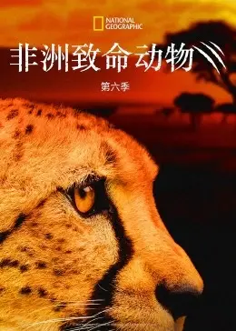 《非洲致命动物》第六季：狂野非洲的生死角逐！