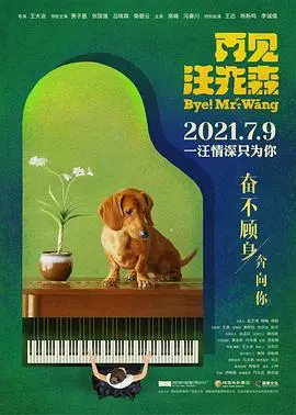 《再见汪先森》：笑泪交织的告别，铭刻在心的温情