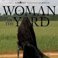 《院子里的女人》：窥探禁锢的灵魂，探索女性命运的挣扎