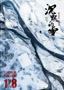 《沉默的雪》：冰封的秘密与人性的救赎，一场视觉与心灵的盛宴