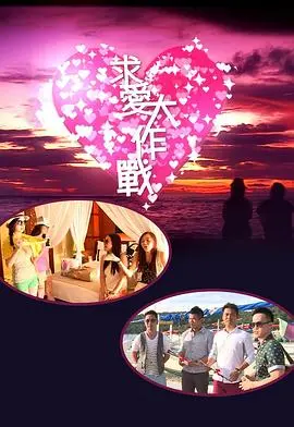 《求爱大作战2013》影评：爆笑喜剧下的真心，看宅男如何逆袭追爱女神！