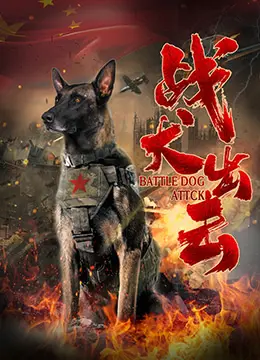 《战犬出击》：警犬界的“速度与激情”，人犬情深，硬核缉毒，看萌犬如何拯救世界！